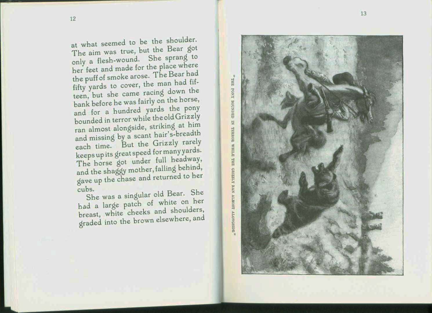 MONARCH, the Big Bear of Tallac in the Lake Tahoe High Sierra.&nbsp;vist0040c